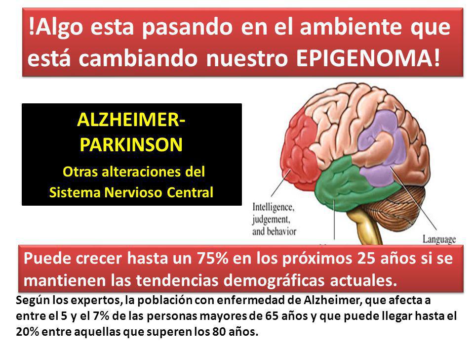 La Epigenética y su aplicación a la Clínica Médica - ppt La Epigenética y su aplicación a la Clínica Médica - ppt