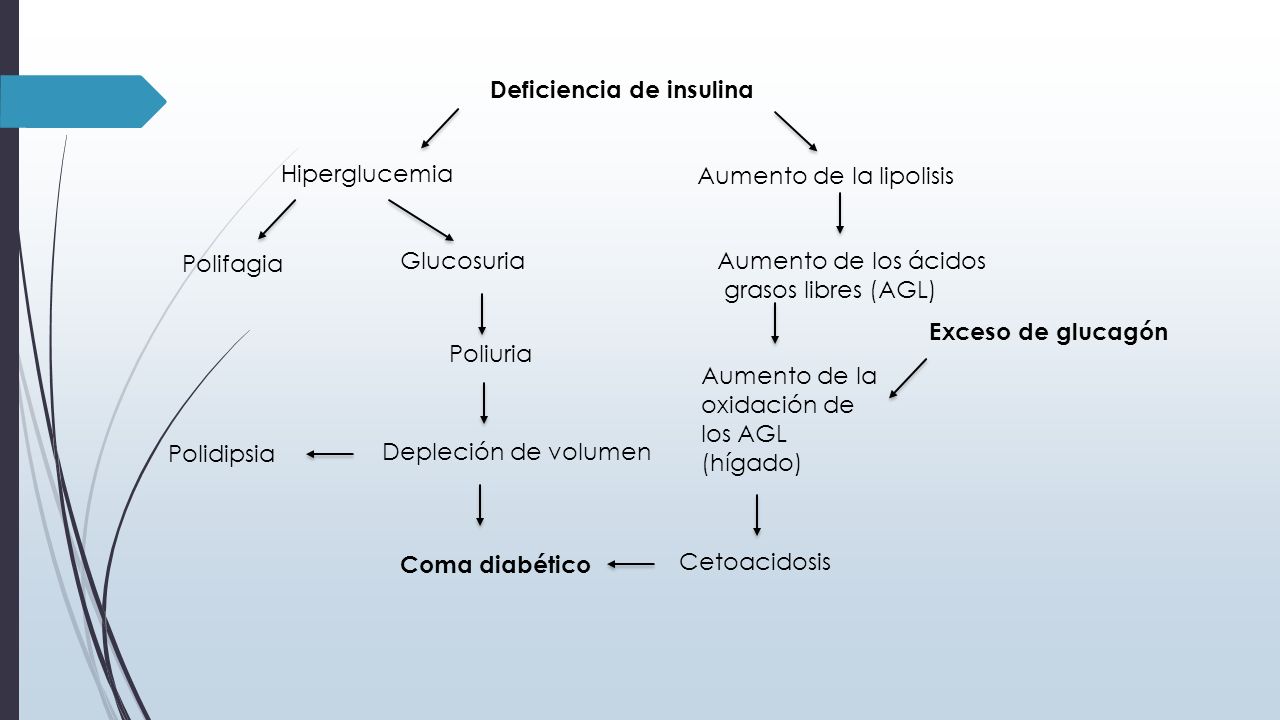 DIABETES MELLITUS BASES BIOQUIMICAS Y PATOLOGICAS - ppt DIABETES MELLITUS BASES BIOQUIMICAS Y PATOLOGICAS - ppt