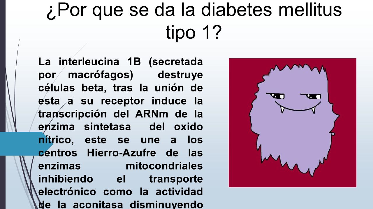 DIABETES MELLITUS BASES BIOQUIMICAS Y PATOLOGICAS - ppt DIABETES MELLITUS BASES BIOQUIMICAS Y PATOLOGICAS - ppt