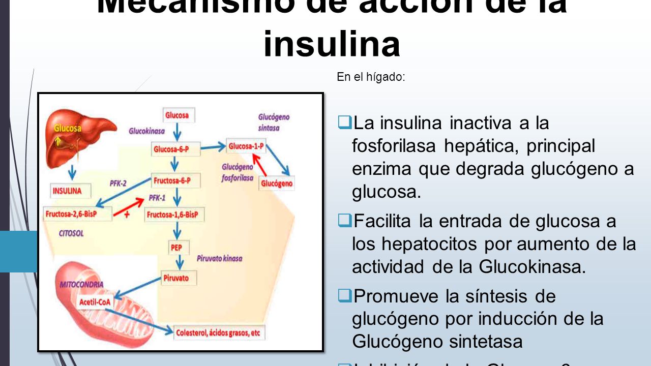 DIABETES MELLITUS BASES BIOQUIMICAS Y PATOLOGICAS - ppt DIABETES MELLITUS BASES BIOQUIMICAS Y PATOLOGICAS - ppt