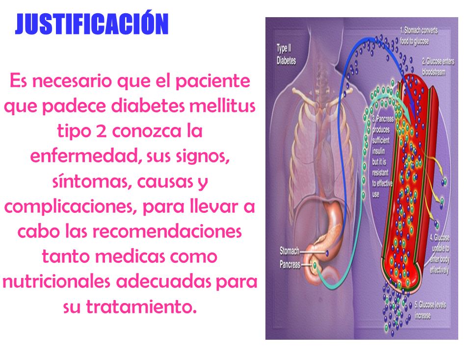 Diabetes mellitus en adultos - ppt video online descargar Diabetes mellitus en adultos - ppt video online descargar
