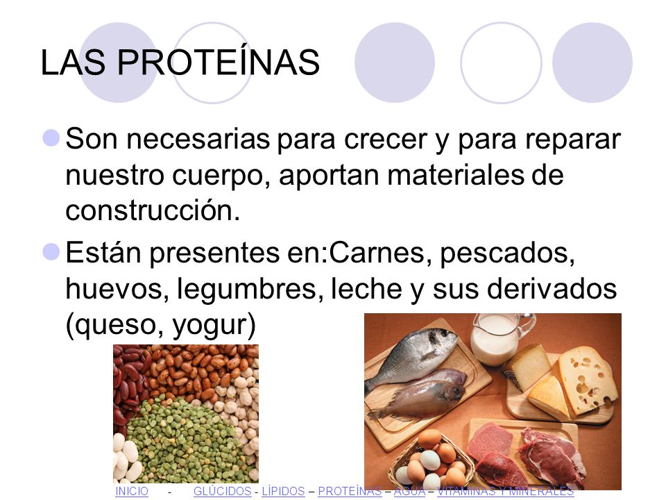 LOS NUTRIENTES. - ppt descargar LOS NUTRIENTES. - ppt descargar