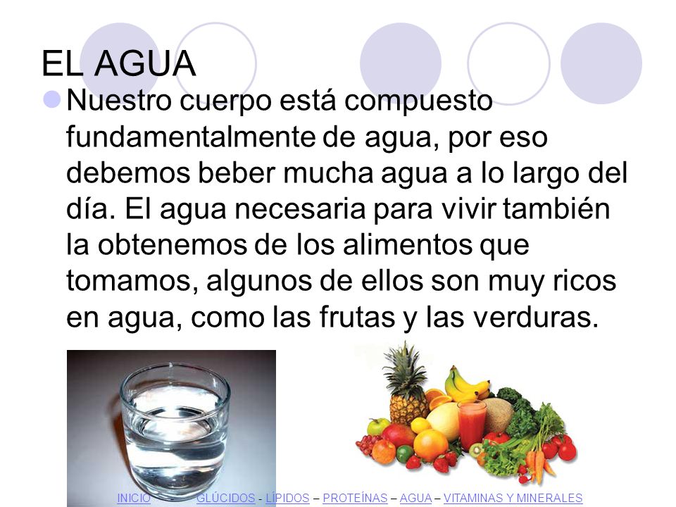 LOS NUTRIENTES. - ppt descargar LOS NUTRIENTES. - ppt descargar