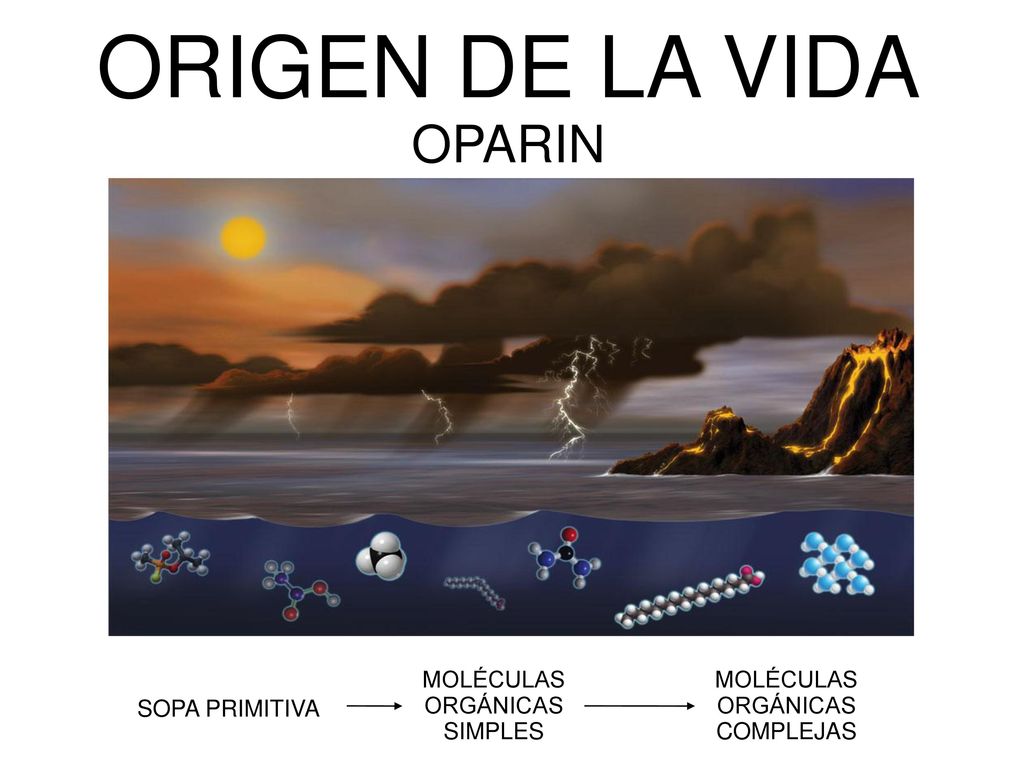 Prueba La Historia de Manu - esscribdcom