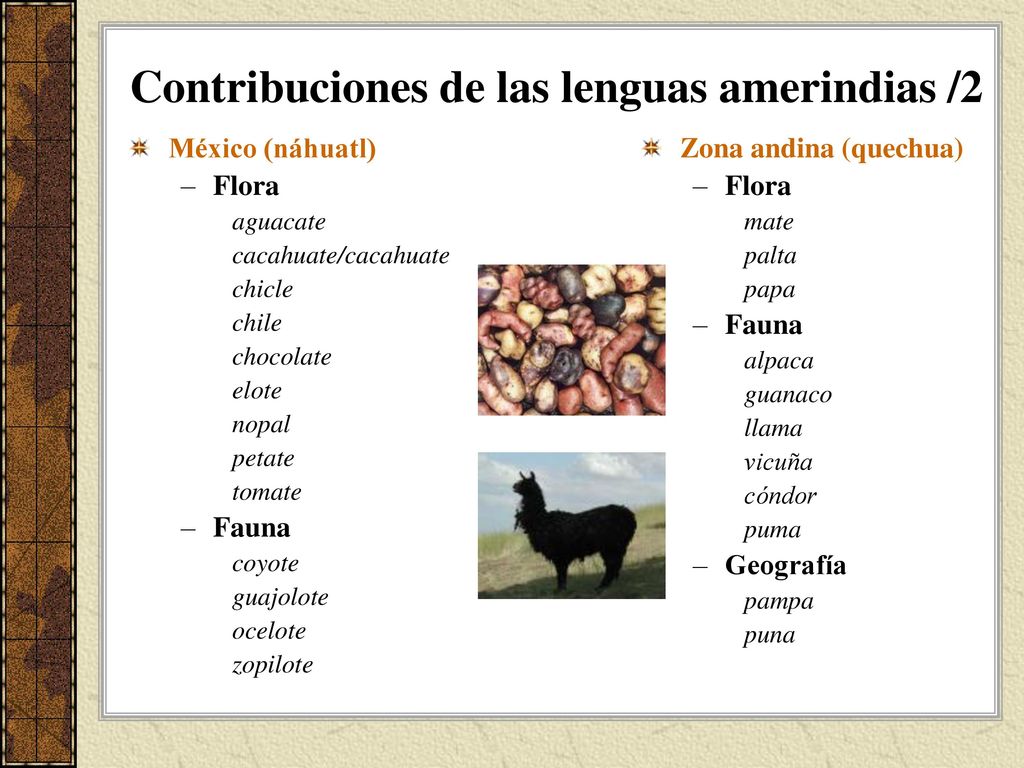 hamaca quechua chile el lat 237 n en hispania el lat 237 n produce una unificaci 243 n hamaca quechua chile el lat 237 n en hispania el lat 237 n produce una unificaci 243 n