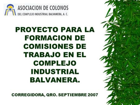 PROYECTO PARA LA FORMACION DE COMISIONES DE TRABAJO EN EL COMPLEJO INDUSTRIAL BALVANERA. CORREGIDORA, QRO. SEPTIEMBRE 2007.