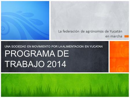 La federación de agrónomos de Yucatán en marcha UNA SOCIEDAD EN MOVIMIENTO POR LA ALIMENTACION EN YUCATAN PROGRAMA DE TRABAJO 2014.
