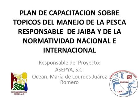 PLAN DE CAPACITACION SOBRE TOPICOS DEL MANEJO DE LA PESCA RESPONSABLE DE JAIBA Y DE LA NORMATIVIDAD NACIONAL E INTERNACIONAL Responsable del Proyecto: