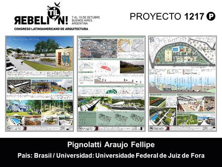 Pignolatti Araujo Fellipe País: Brasil / Universidad: Universidade Federal de Juiz de Fora PROYECTO 1217.