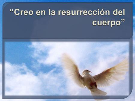 “Creo en la resurrección del cuerpo”