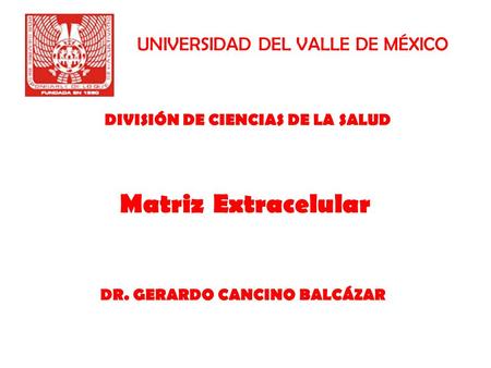 UNIVERSIDAD DEL VALLE DE MÉXICO Matriz Extracelular DR. GERARDO CANCINO BALCÁZAR DIVISIÓN DE CIENCIAS DE LA SALUD.