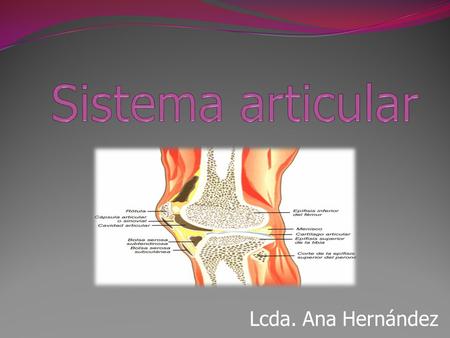Sistema articular Lcda. Ana Hernández.