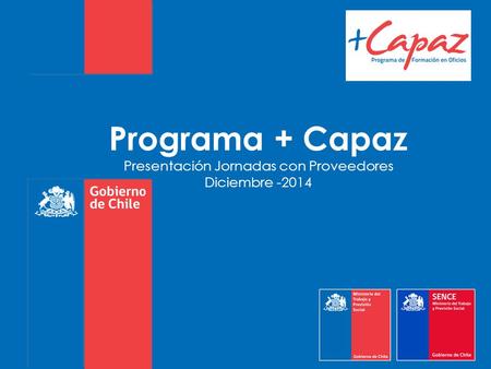 Programa + Capaz Presentación Jornadas con Proveedores Diciembre -2014