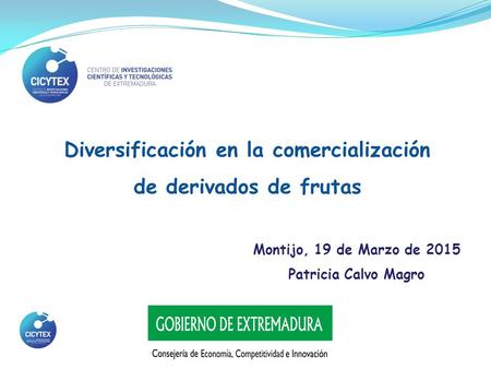 Diversificación en la comercialización de derivados de frutas Patricia Calvo Magro Montijo, 19 de Marzo de 2015.