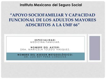 Instituto Mexicano del Seguro Social