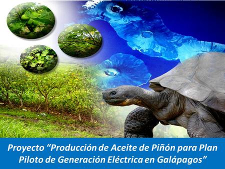 ANTECEDENTES Iniciativa Cero Combustibles Fósiles en Galápagos.
