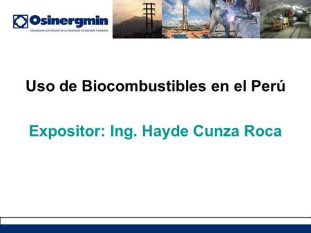 Uso de Biocombustibles en el Perú Expositor: Ing. Hayde Cunza Roca