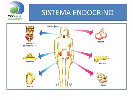 FARMACOLOGIA SISTEMA ENDOCRINO farmacologia sistema endocrino:
