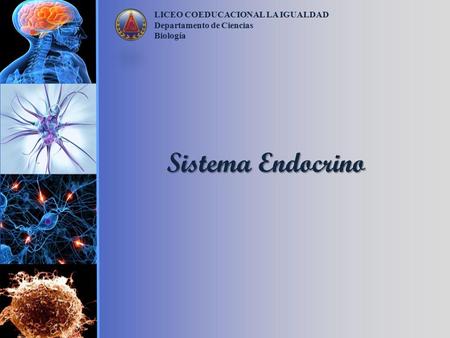 Sistema Endocrino LICEO COEDUCACIONAL LA IGUALDAD