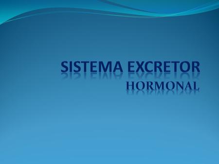 SISTEMA EXCRETOR HORMONAL.