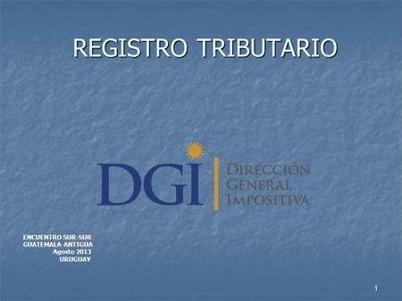 REGISTRO TRIBUTARIO 1 ENCUENTRO SUR-SUR GUATEMALA-ANTIGUA Agosto 2013