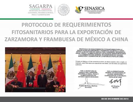 PROTOCOLO DE REQUERIMIENTOS FITOSANITARIOS PARA LA EXPORTACIÓN DE ZARZAMORA Y FRAMBUESA DE MÉXICO A CHINA 08 DE DICIEMBRE DE 2014.