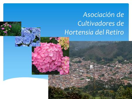 Asociación de Cultivadores de Hortensia del Retiro.