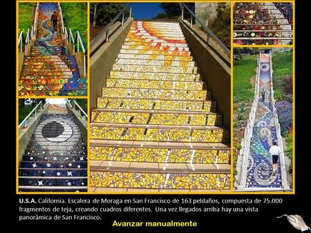U.S.A. California. Escalera de Moraga en San Francisco de 163 peldaños, compuesta de 75.000 fragmentos de teja, creando cuadros diferentes. Una vez llegados.