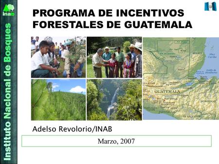 Marzo, 2007 PROGRAMA DE INCENTIVOS FORESTALES DE GUATEMALA Adelso Revolorio/INAB.