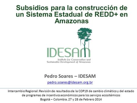 Pedro Soares – IDESAM Intercambio Regional: Revisión de resultados de la COP19 de cambio climático y del estado de programas.