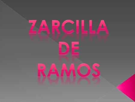 ZARCILLA DE RAMOS.