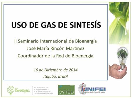 USO DE GAS DE SINTESÍS II Seminario Internacional de Bioenergía