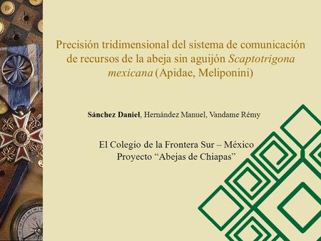 Precisión tridimensional del sistema de comunicación de recursos de la abeja sin aguijón Scaptotrigona mexicana (Apidae, Meliponini) Sánchez Daniel, Hernández.