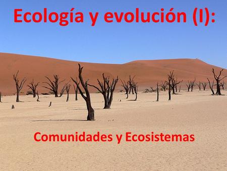 Ecología y evolución (I): Comunidades y Ecosistemas