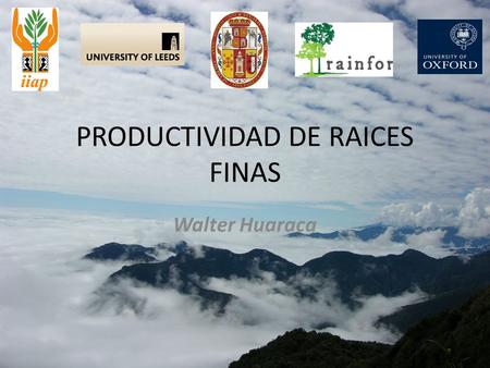 PRODUCTIVIDAD DE RAICES FINAS