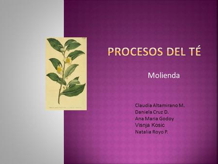 Procesos del Té Molienda Claudia Altamirano M. Daniela Cruz D.