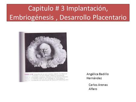Capitulo # 3 Implantación, Embriogénesis , Desarrollo Placentario