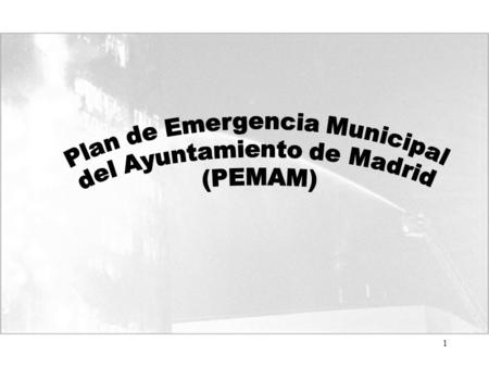 Plan de Emergencia Municipal del Ayuntamiento de Madrid (PEMAM)