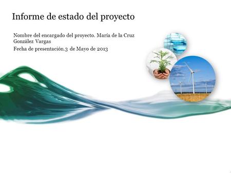Informe de estado del proyecto Nombre del encargado del proyecto. María de la Cruz González Vargas Fecha de presentación.3 de Mayo de 2013.