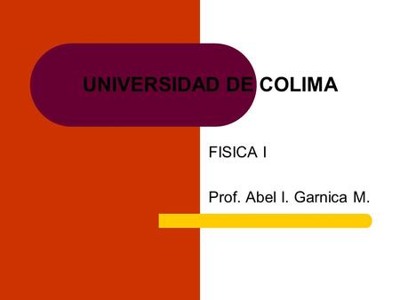 FISICA I Prof. Abel I. Garnica M.