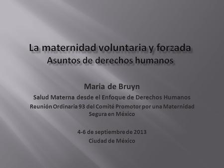 Maria de Bruyn Salud Materna desde el Enfoque de Derechos Humanos Reunión Ordinaria 93 del Comité Promotor por una Maternidad Segura en México 4-6 de septiembre.