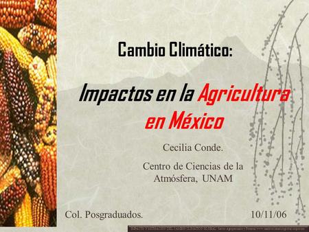 Impactos en la Agricultura en México