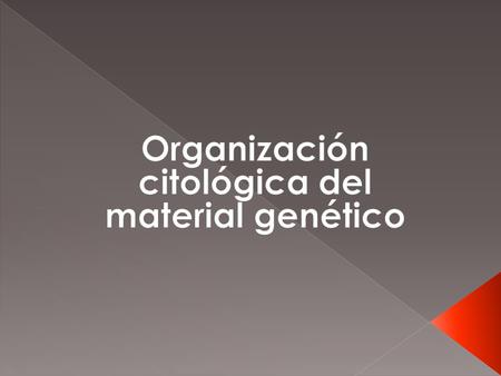 Organización citológica del material genético