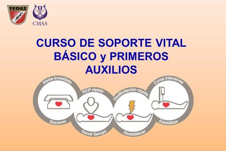 CURSO DE SOPORTE VITAL BÁSICO y PRIMEROS AUXILIOS