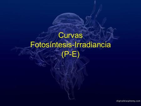 Curvas Fotosíntesis-Irradiancia (P-E)