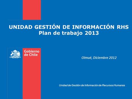 UNIDAD GESTIÓN DE INFORMACIÓN RHS Plan de trabajo 2013