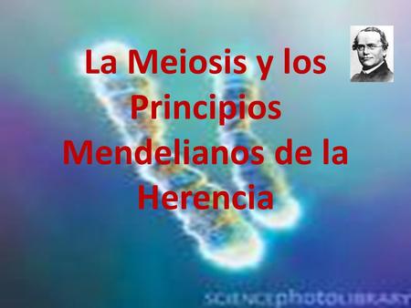 La Meiosis y los Principios Mendelianos de la Herencia