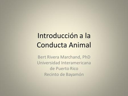Introducción a la Conducta Animal