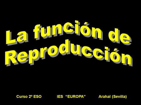 La función de Reproducción Curso 2º ESO IES “EUROPA” Arahal (Sevilla)