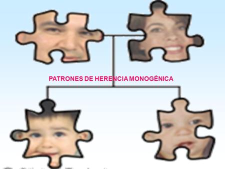 PATRONES DE HERENCIA MONOGÉNICA